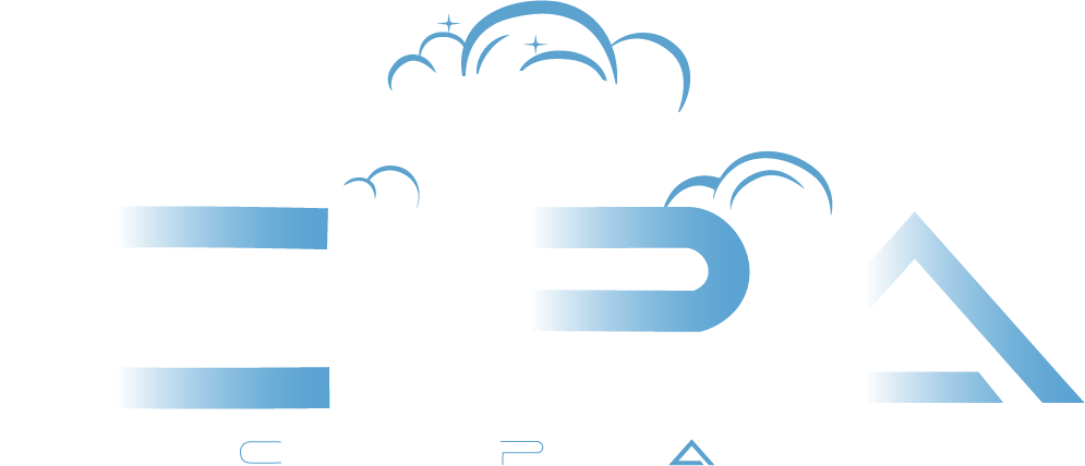 Clean Pro Auto